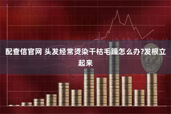 配查信官网 头发经常烫染干枯毛躁怎么办?发根立起来